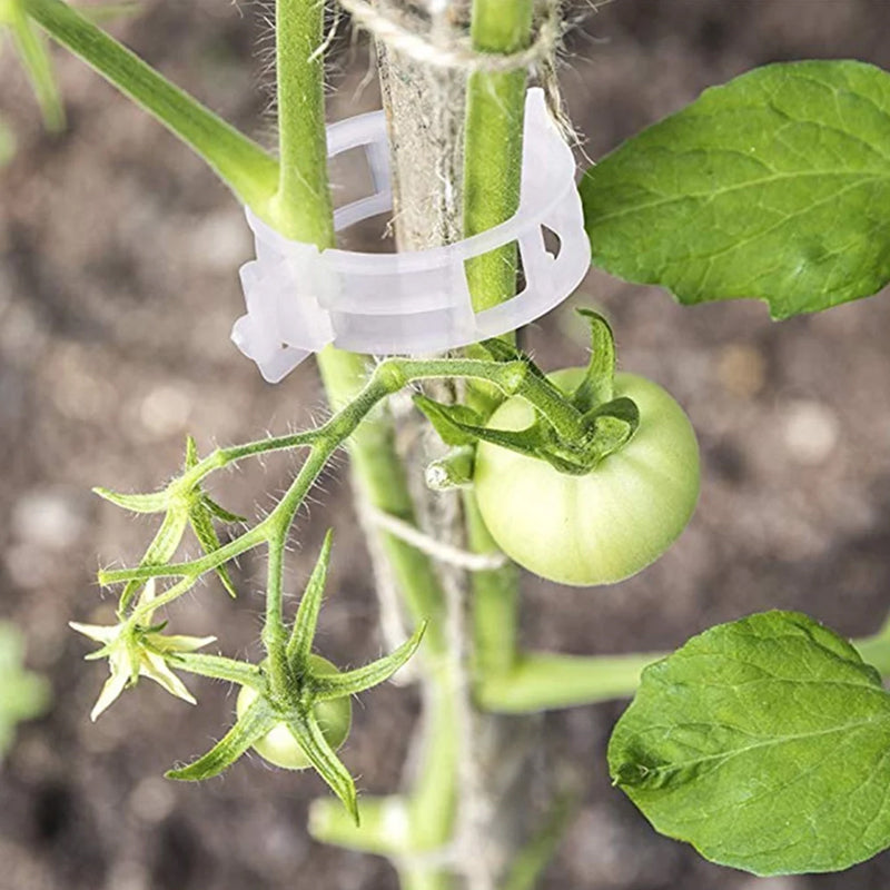 PlantClips - Wiederverwendbare Pflanzenstützen Und Festsetzung Clips