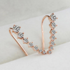 Jewelance™ ClipEarrings 1+1 GRATIS: Lang Elegant Clip An Ohrringe In Geschenkbox