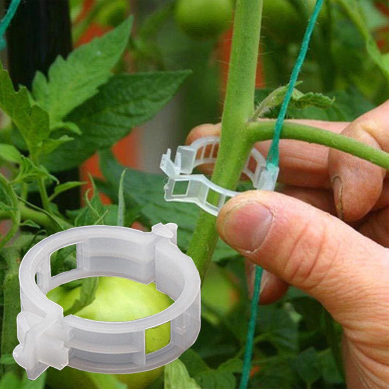 PlantClips - Wiederverwendbare Pflanzenstützen Und Festsetzung Clips