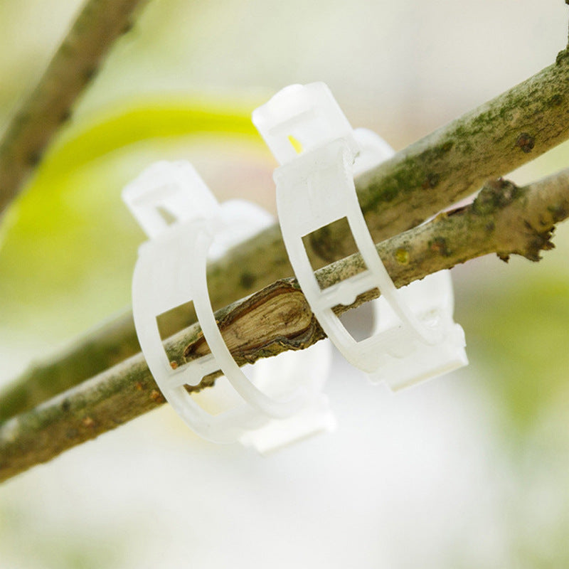 PlantClips - Wiederverwendbare Pflanzenstützen Und Festsetzung Clips