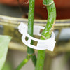 PlantClips - Wiederverwendbare Pflanzenstützen Und Festsetzung Clips