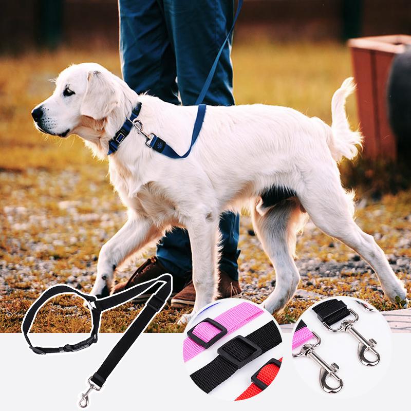 DogCatFri™ CarLeash 1+1 GRATIS: Verstellbarer Sicherheits- Haustier- Autositz Leine