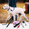 DogCatFri™ CarLeash 1+1 GRATIS: Verstellbarer Sicherheits- Haustier- Autositz Leine