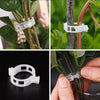 PlantClips - Wiederverwendbare Pflanzenstützen Und Festsetzung Clips