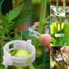 PlantClips - Wiederverwendbare Pflanzenstützen Und Festsetzung Clips