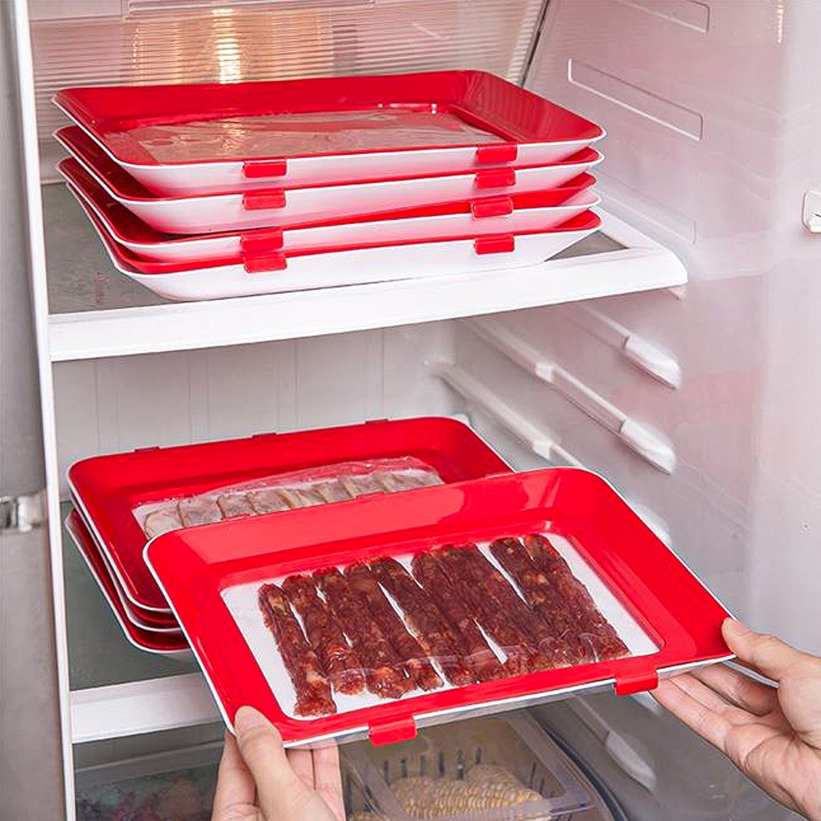 Globetrek° PreservationTray - Kreative Lebensmittelaufbewahrung Tablett