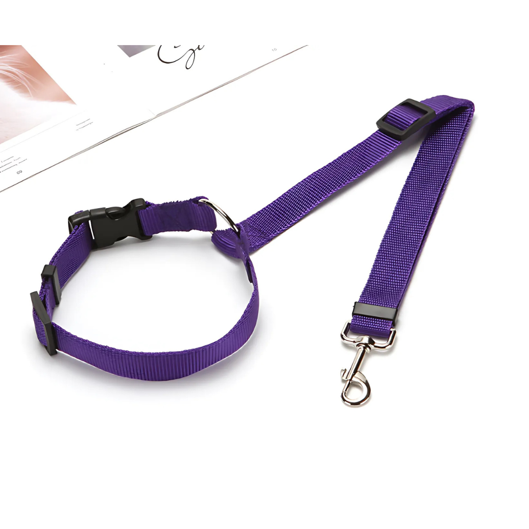DogCatFri™ CarLeash 1+1 GRATIS: Verstellbarer Sicherheits- Haustier- Autositz Leine