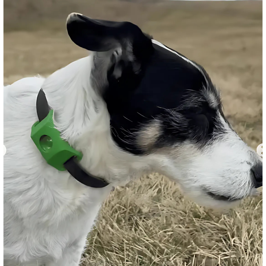 DogCatFri™ Anti-FleaPendant 1+1 GRATIS: Anti-Zecken-Anti-Floh-Anhängerschutz