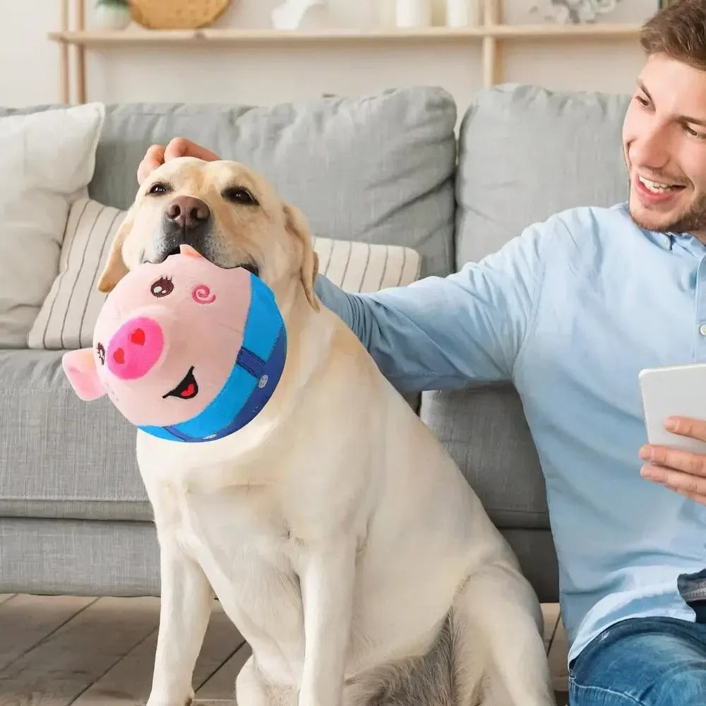 DogCatFri™ BouncingToy: Interaktives Haustier Hüpfendes Plüsch Spielzeug Ball
