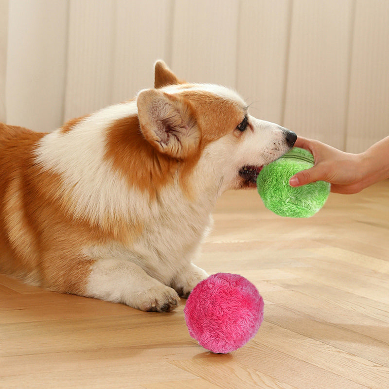 DogFri™ ActiveBall - Anti-Angst-Automatik-Rollball