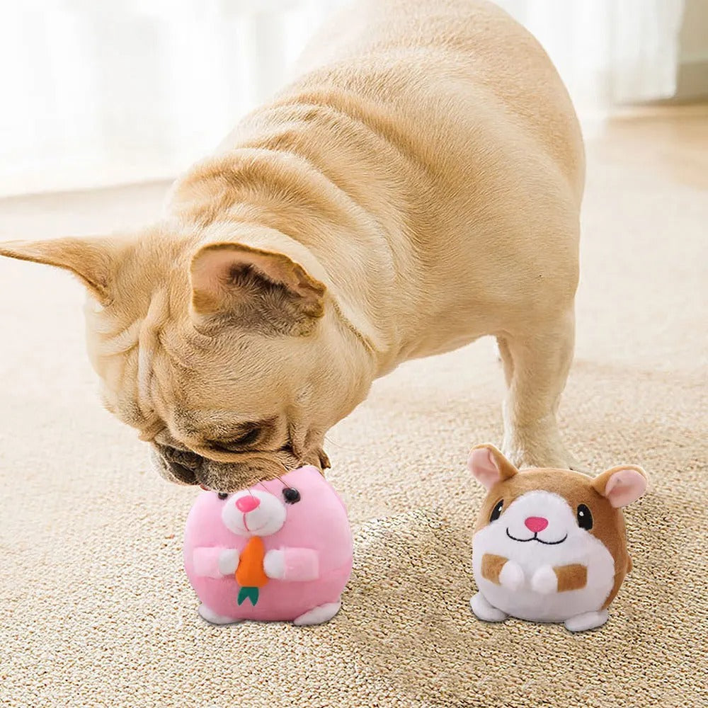 DogCatFri™ BouncingToy: Interaktives Haustier Hüpfendes Plüsch Spielzeug Ball