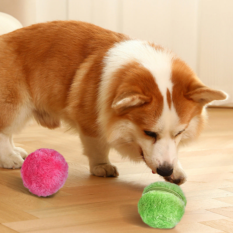 DogFri™ ActiveBall - Anti-Angst-Automatik-Rollball