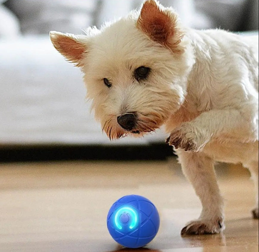 DogCatFri™ InteractiveBall: Wiederaufladbarer Interaktiver Spielzeugball Für Haustiere