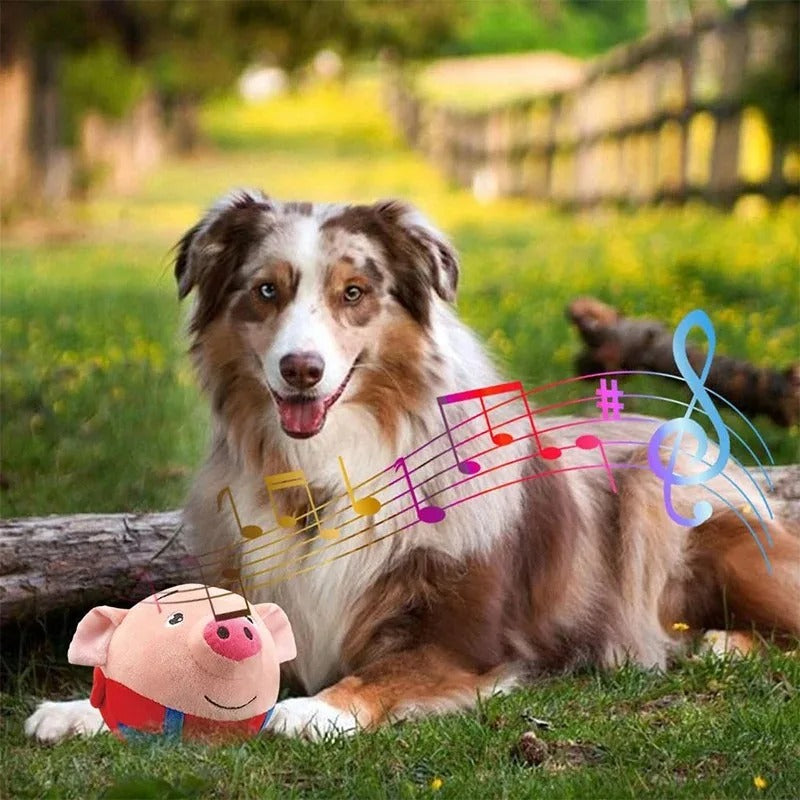 DogCatFri™ BouncingToy: Interaktives Haustier Hüpfendes Plüsch Spielzeug Ball