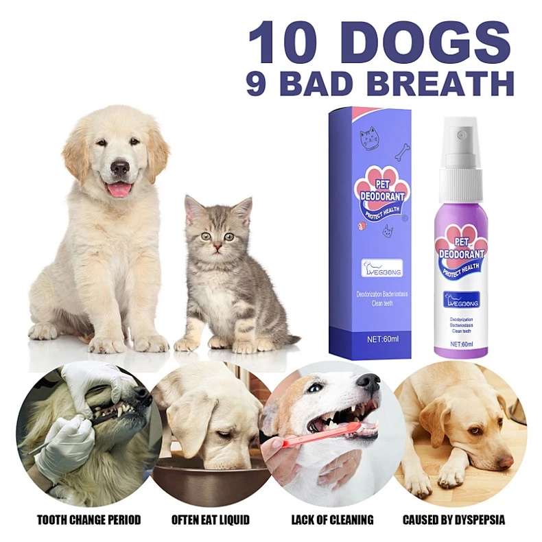 DogCatFri™ PetSpray: Haustier Atemerfrischungs Spray