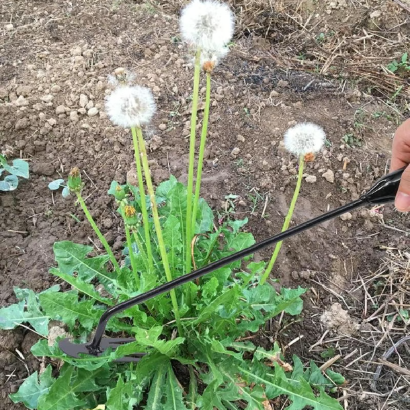 WeedRemover 1+1 GRATIS: Ergonomisch Unkraut Umzug Garten Werkzeug