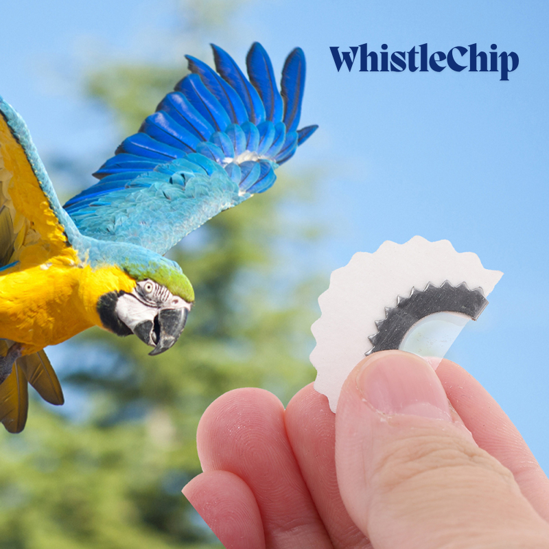BirdWhistle 1+1 GRATIS – Mini Magie Vogelruf Pfeife Chip