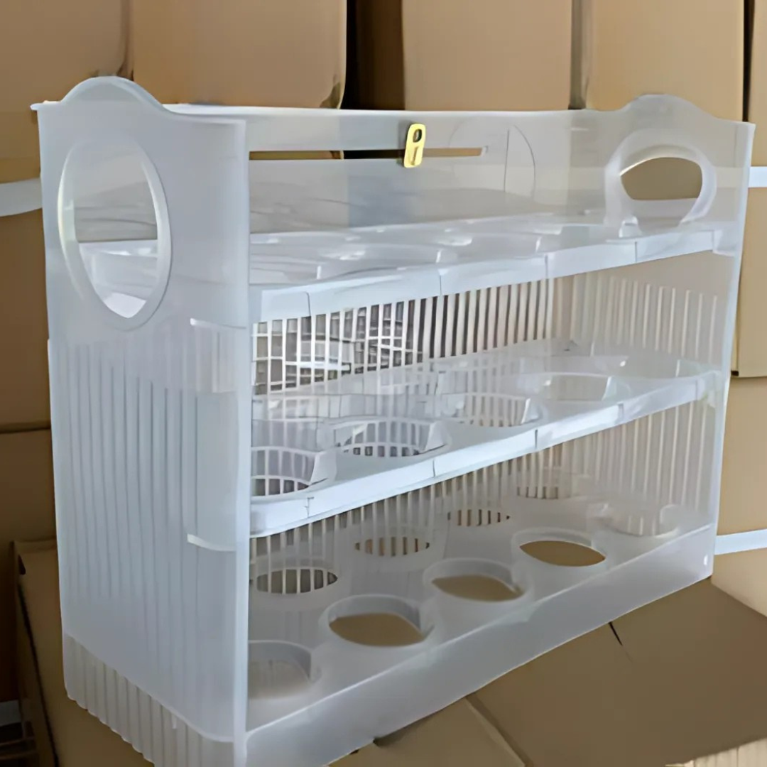 EggBox - Drei-Schicht-Selbst-Rückprall-Eieraufbewahrungsbox