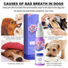 DogCatFri™ PetSpray: Haustier Atemerfrischungs Spray