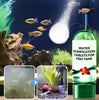 TankPurifier - Schnelle Und Effektive Wasserreinigungstablette Für Aquarien