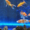 Ledsen™ GlowBubble: LED-Aquarium Bunt Leuchtend Blasen Licht
