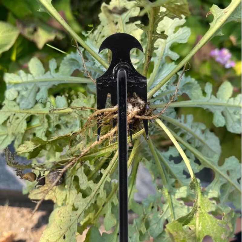 WeedRemover 1+1 GRATIS: Ergonomisch Unkraut Umzug Garten Werkzeug