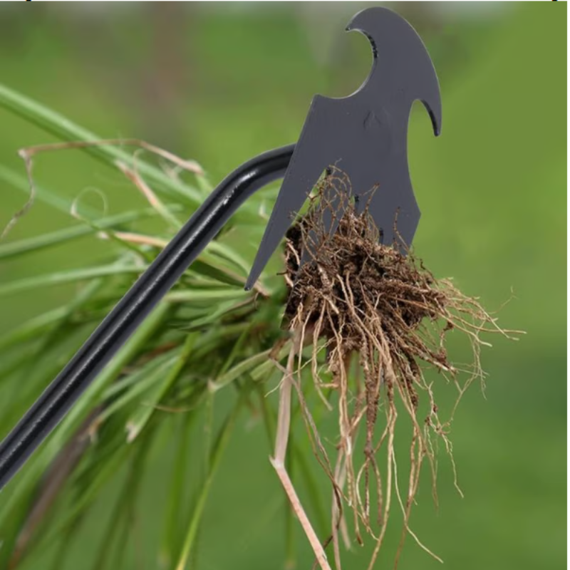 WeedRemover 1+1 GRATIS: Ergonomisch Unkraut Umzug Garten Werkzeug